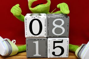 symbolic, phrase, usually, mediocrity, kermit, average, nothing special, wooden blocks, pay, statement, frog, stuffed animal, fun
